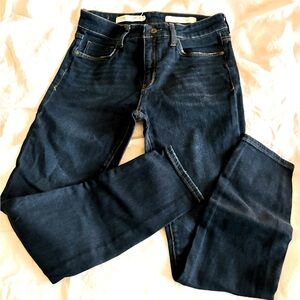 Anthropologie Pilcro Denim Stretch Jeans